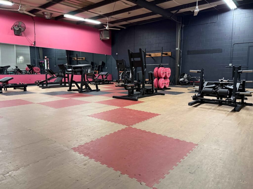 Plate-loaded strength machines in the accent training room at The Fitness Lab